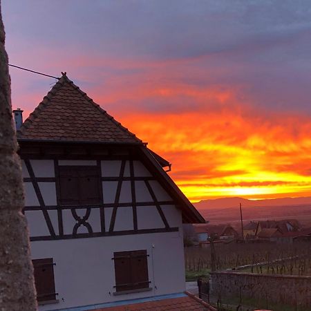 Vila Beck Domaine Du Rempart Dambach Exteriér fotografie