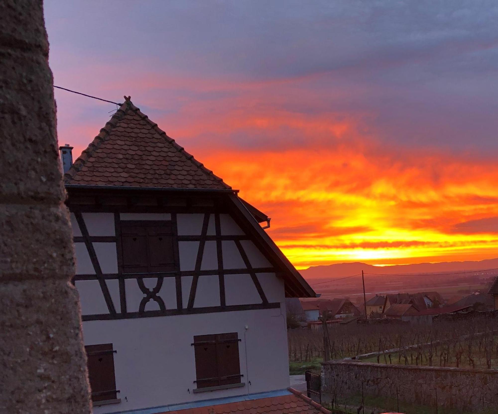 Vila Beck Domaine Du Rempart Dambach Exteriér fotografie